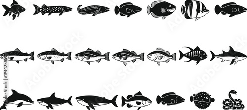 Black and white marine and freshwater fish silhouettes collection, ocean wildlife illustration set including shark, dolphin, tuna and tropical species