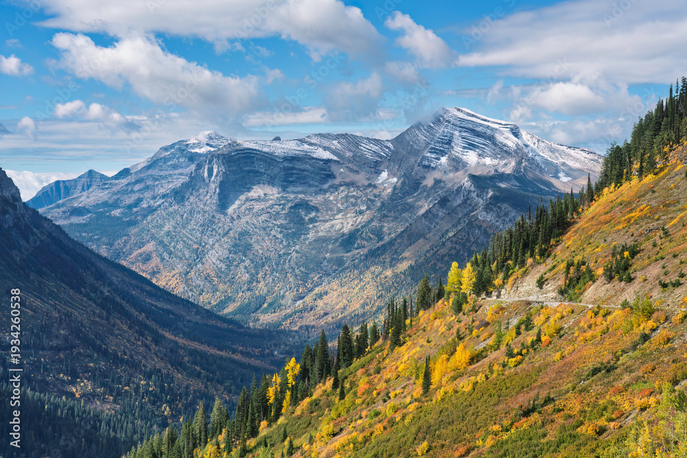 Fototapeta premium Autumn colors seen from the Going to the Sun Road - Glacier National Park 
