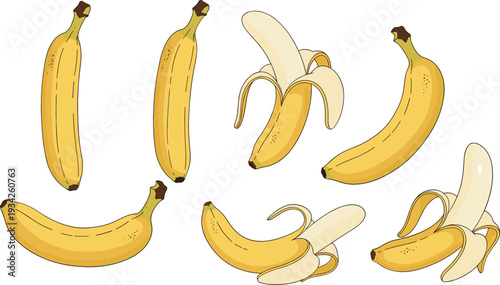 Banana Collection with Whole and Peeled Ripe Yellow Bananas Fresh Tropical Fruit Vector Illustration Set