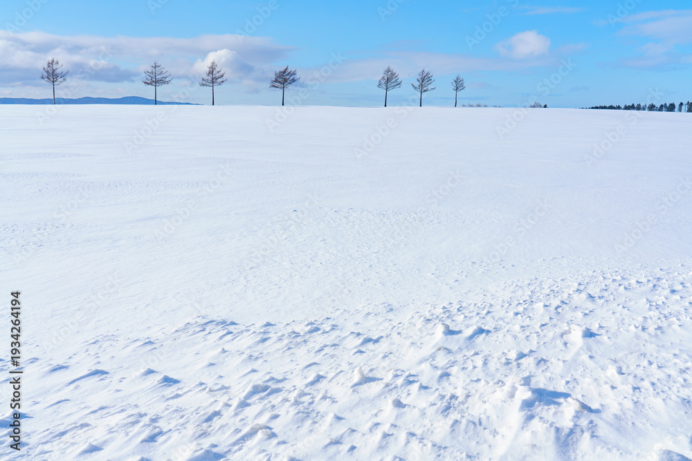 Obraz premium 北海道大空町 冬のメルヘンの丘 冬の絶景旅行