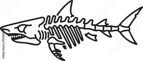 Minimalist black and white line art of a shark skeleton, highlighting its cartilaginous structure for biological and educational purposes.