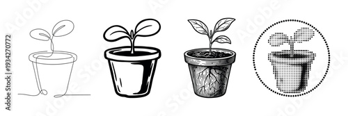 Potted plant seedling illustrations in various artistic styles showcasing growth and nature's delicate beginning.