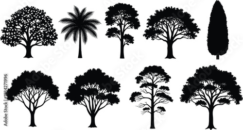Tree silhouettes collection with palm, cypress and deciduous forest trees isolated on white background botanical vector illustration set