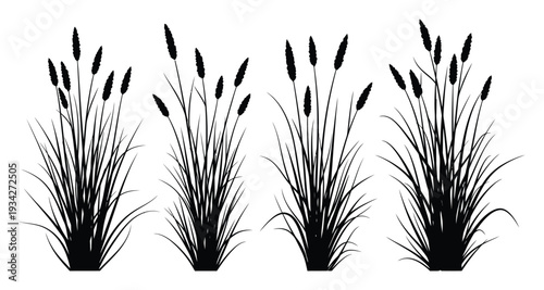 Black Silhouette of Cattails and Tall Grasses on White Background