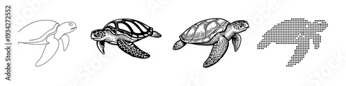 Sea turtle illustrations depicting the majestic marine animal in diverse graphic forms including line art, detailed drawing, and dot pattern.