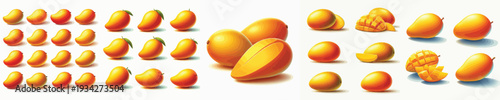 Mango Fruit Vector Illustration Collection