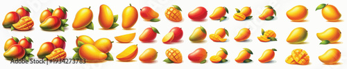 Mango Fruit Vector Illustration Collection