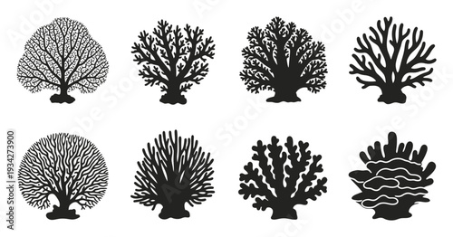 Collection of Black Silhouette Coral on White Background