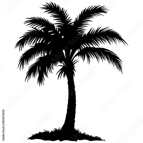 A black silhouette of a palm tree on a white background