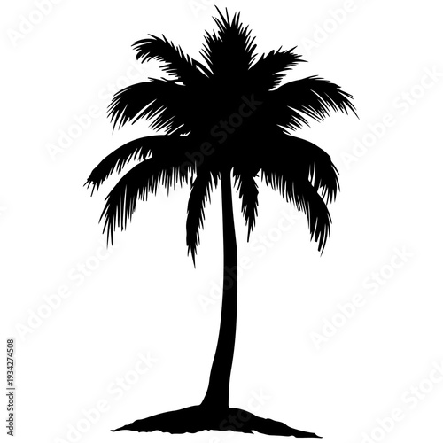 A black silhouette of a palm tree on a white background