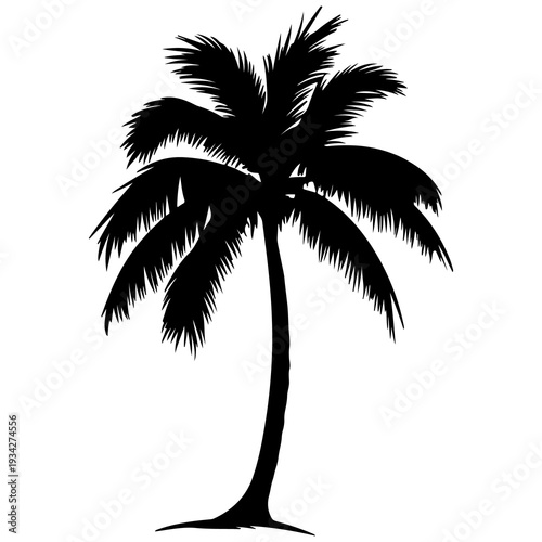 A black silhouette of a palm tree on a white background