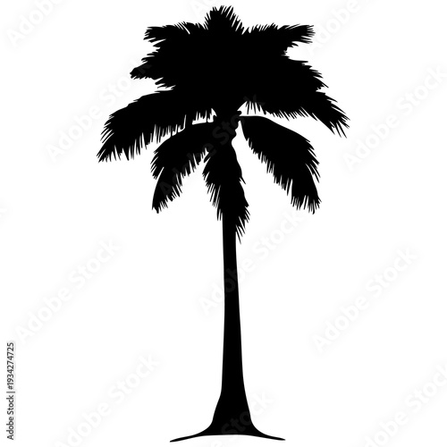 A black silhouette of a palm tree on a white background