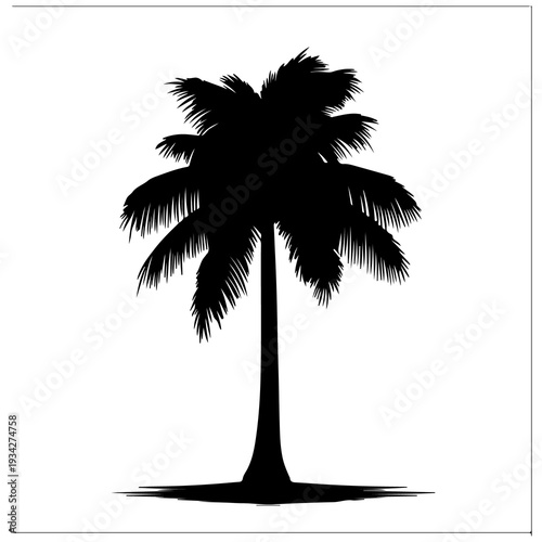 A black silhouette of a palm tree on a white background