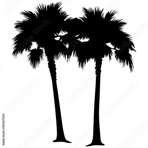 A pair of palm trees standing side by side