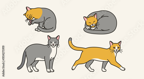 Four cartoon cats in various poses, including sleeping, grooming, standing, and walking, with different fur colors on a plain background.