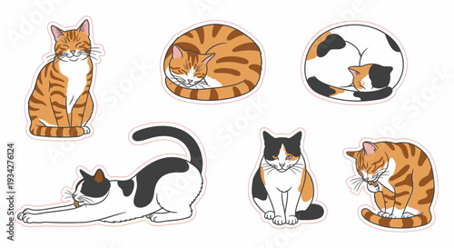 Six cute cartoon cats in various poses and fur patterns, including tabby, calico, and black and white, on a white background.