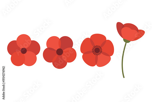 red poppy flowers in different styles and arrangements
