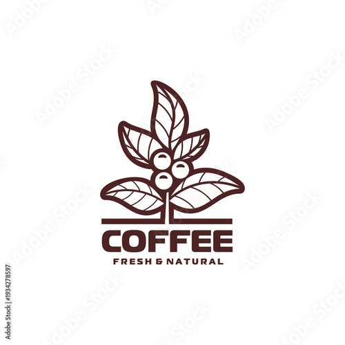 Coffee bean plant vector icon with leaves, branch and beans. Vector outline emblem with fresh natural coffee. Brown label or badge for beverage packaging, shop signage and eco product presentation