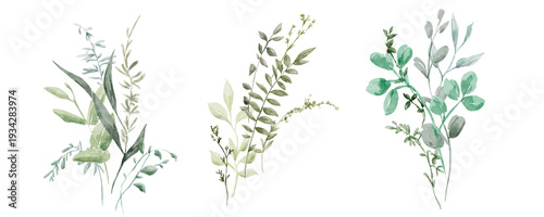 Watercolor greenery foliage bouquets set, floral green clip art