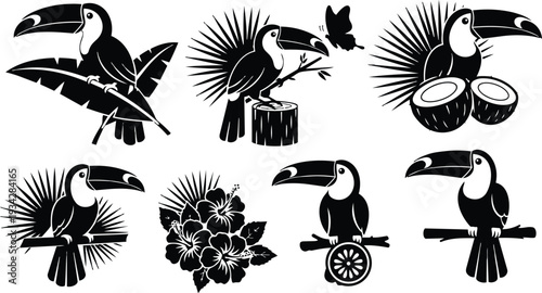 Minimalist black tropical toucan icon set showing eight designs perched on branches coconuts hibiscus leaves close up side view flat vector art silhouette monochrome isolated eps