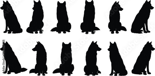 Black wolf silhouettes collection with sitting and standing poses for wilderness forest nature and wild animal predator vector design set