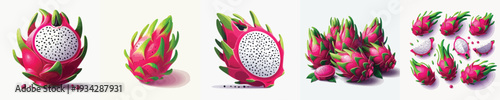 Dragon Fruit Vector Illustration Collection