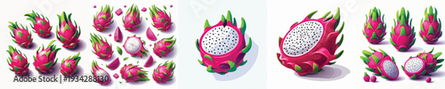 Dragon Fruit Vector Illustration Collection