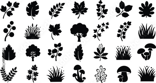 Minimalist black leaf and grass icon set arranged in grid thirty nature silhouettes including mushrooms tree branch berry blade close up flat vector art simple symbols