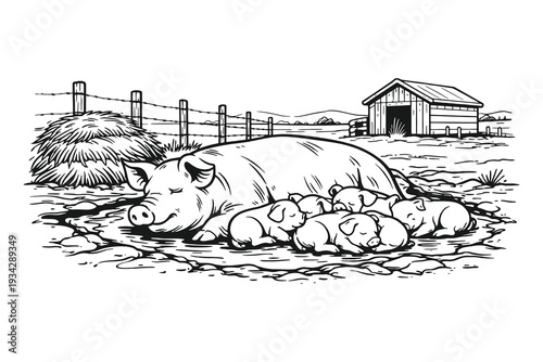Vintage Line Art Farm Animal Scene Vector Illustration Set featuring pig with piglets in barnyard landscape, detailed black and white engraving style collection