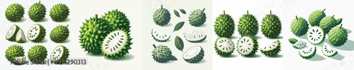 Soursop Fruit Vector Illustration Collection
