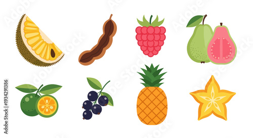 Assorted tropical fruit collection illustration