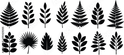 A set of vector line art leaf silhouettes in various shapes and sizes for design bundle