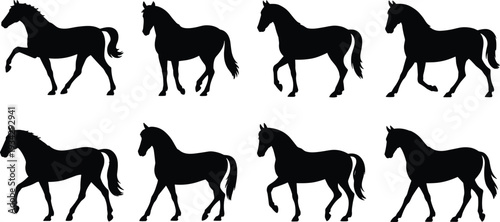 Horse silhouettes illustration set, animal posture vector artwork, equine design graphics, walking standing icons collection, motion anatomy symbol