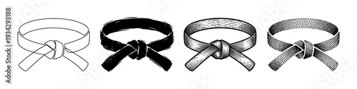 Martial arts black belts are illustrated with different artistic drawing techniques, showcasing various styles of achievement and discipline.