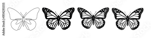 Four different artistic black and white butterfly illustrations showcasing a beautiful progression of drawing styles from simple to intricate detail.
