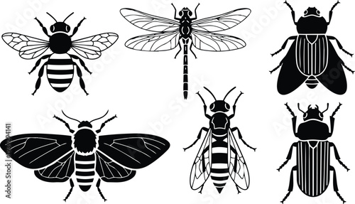 Stencil vector top view collection of six insect silhouettes including bee dragonfly moth and beetles displayed in two rows on white background high contrast graphic icon