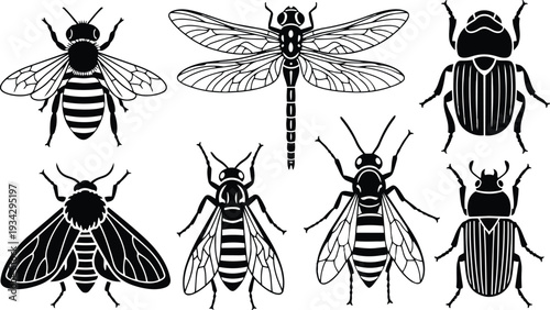 Black silhouette insect icons set close up top view bees dragonfly beetles moths arranged in grid vector illustration for print svg png mockup high contrast monochrome