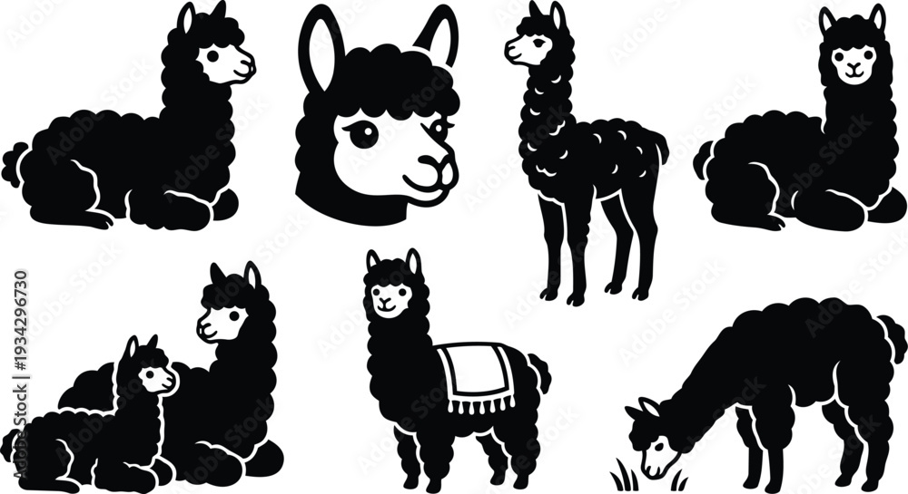 Fototapeta premium Minimalist black silhouette vector alpaca set showing multiple poses close up head grazing sitting standing lying mother and baby with decorative blanket flat design mockup front