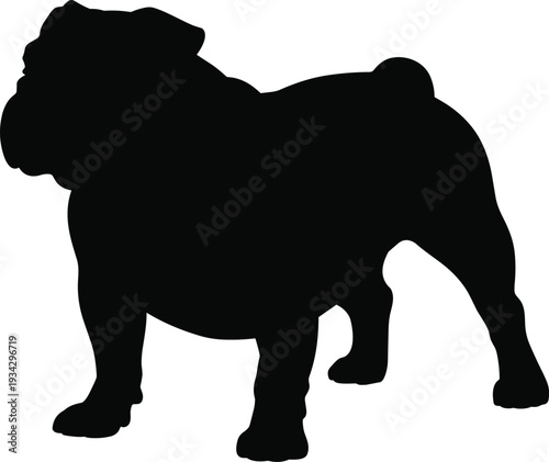 English Bulldog silhouette SVG design, dog breed standing outline for Cricut cut file, vinyl decal, pet lover gift, shirt graphic and printable wall art