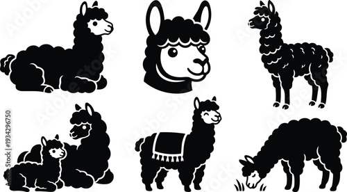 Minimalist vector art close up alpaca head and full body profiles grazing lying and resting group on white background flat silhouette composition facing right and left