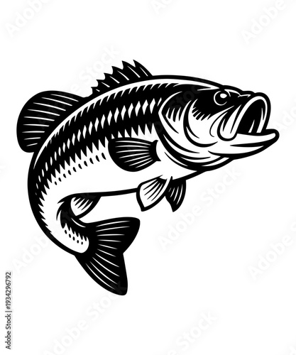 Leaping Largemouth Bass Fish Vector Illustration