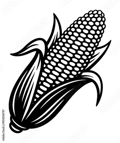 Ear of Corn on the Cob Vector Illustration