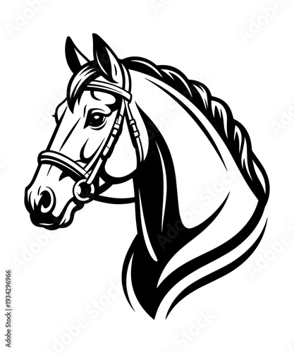 Elegant Horse Head with Bridle Vector Illustration