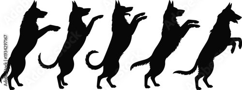 German Shepherd motion silhouettes vector illustration, dynamic animal design with progressive poses, lifestyle motifs, pet artwork, and branding overlay