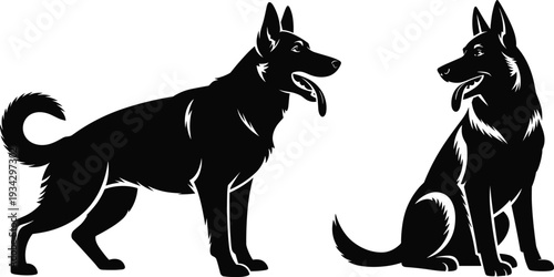 German Shepherd duo vector illustration, bold animal design with standing and sitting poses, lifestyle motifs, pet artwork, and branding overlay