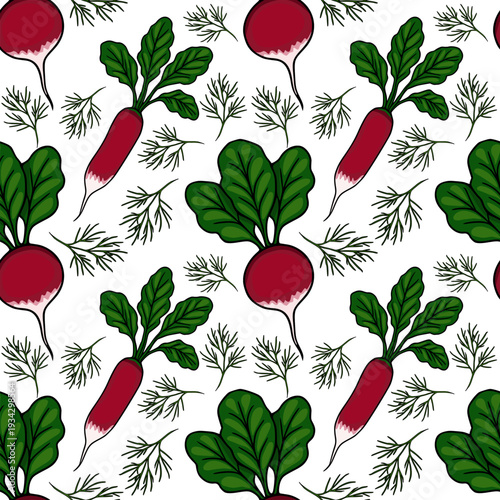 Seamless vector pattern of fresh red radishes with green leaves and dill sprigs