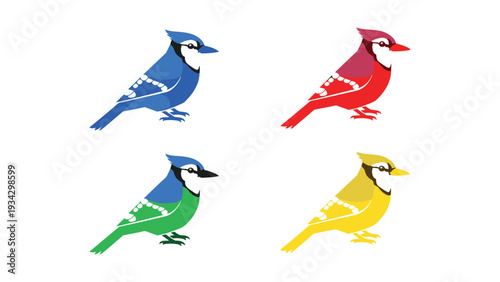 Colorful stylized illustrations of four different birds in vibrant hues