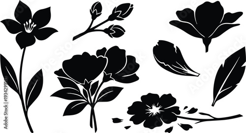 Minimalist vector floral silhouettes arranged with separate buds petals leaves and stems in horizontal layout black and white clipart for pattern design mockup flat closeup
