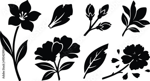 Minimalist black floral vector set with varied blossoms stems buds leaves isolated flat design top view simple silhouette for craft pattern logo mockup editable scalable ai