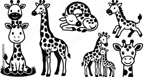 Cute black and white vector art of multiple giraffes in various poses close up head body sleeping standing mother and calf playful arrangement on white background